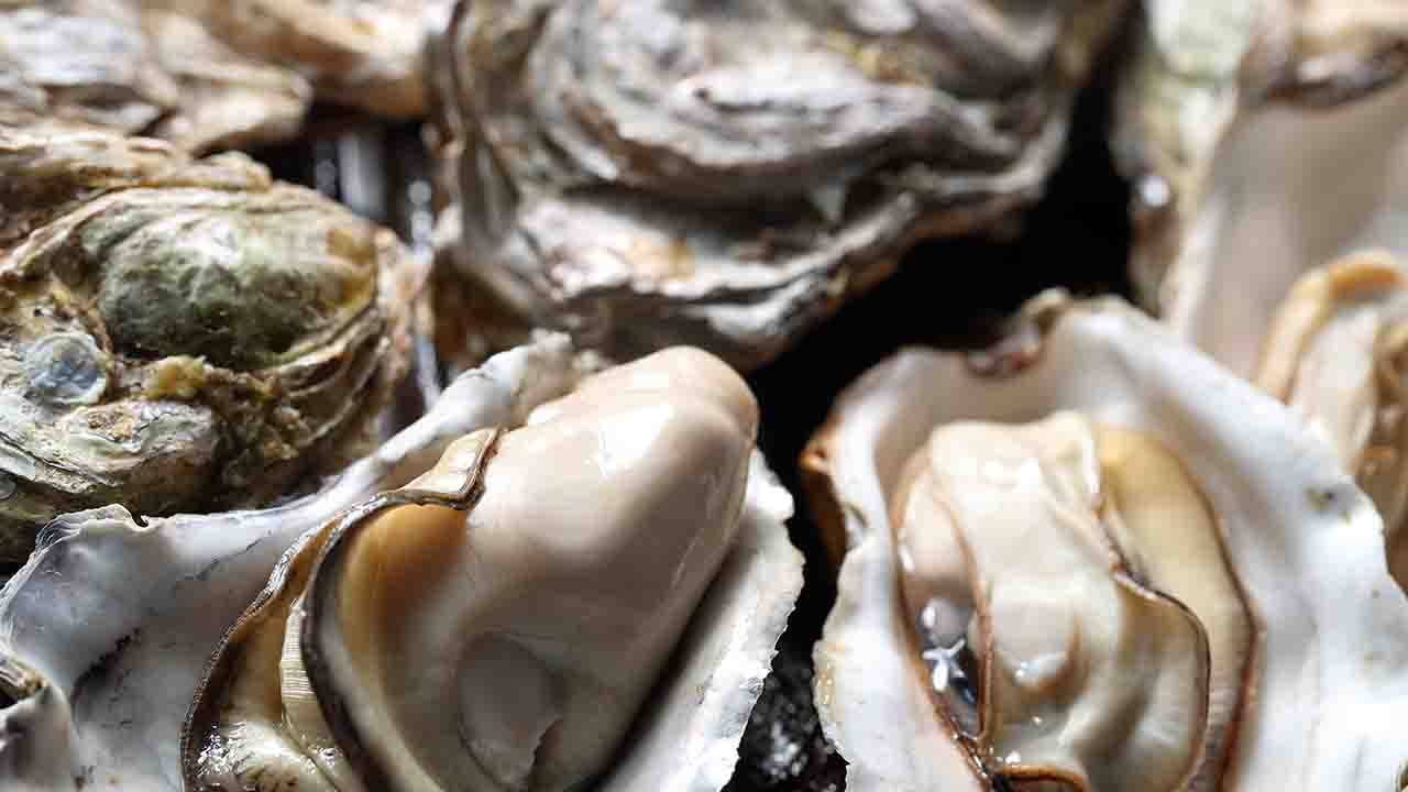 segreti per la giusta conservazione dei frutti di mare