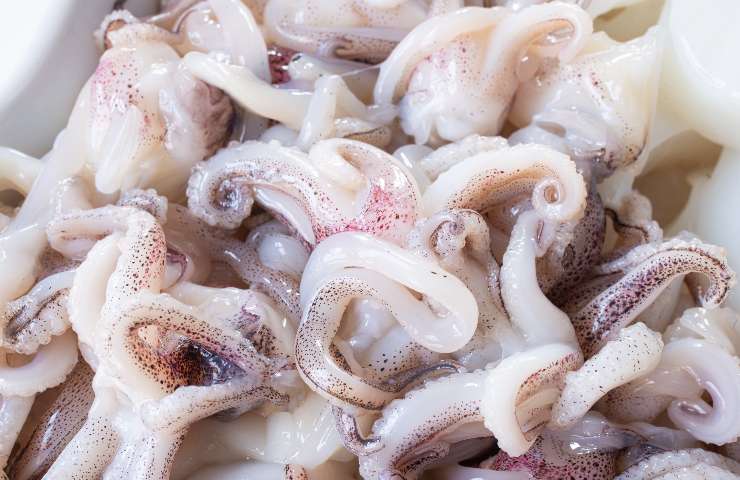 Pulire i calamari come fare