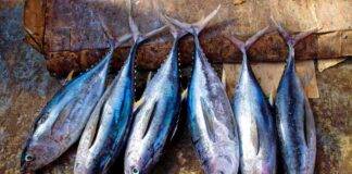 Richiamo alimentare nel tonno