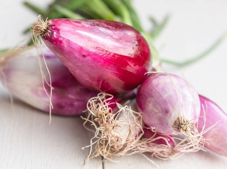 Primo di Natale pronto in pochi minuti e semplicemente fantastico! ricetta