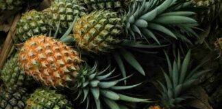 Ananas maturo come riconoscerlo