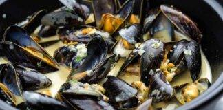 Cozze allo zafferano e panna