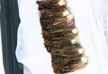 Contorno di radicchio al forno | Perfetto per i brasati e non solo Contorno di radicchio al forno. Foto di È sempre Mezzogiorno