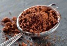 Ricotta e cacao per un dolcetto facilissimo | Pronto in 10 minuti cosa aspetti?