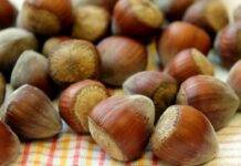 Avete delle nocciole in dispensa Ecco cosa potete preparare