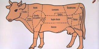 Che carne mangi? Foto di È sempre Mezzogiorno