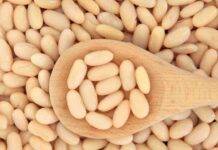 Fagioli