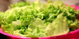 Lavare l'insalata