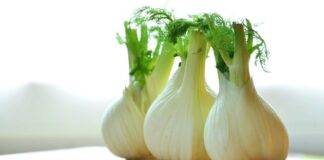 Mangiare finocchi tutti i giorni fa bene