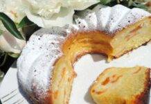 Mega ciambella nua cocco crema di arancia e limone e albicocche