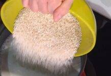 Riso originario | Un’eccellenza italiana nel mondo Riso originario. Foto di È sempre Mezzogiorno