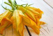 frittelle fiori di zucca
