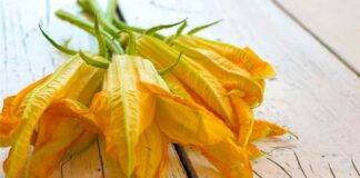frittelle fiori di zucca