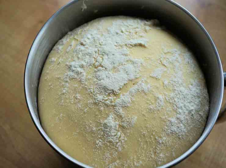 impasto in lievitazione