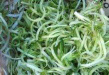 Un’insalata del tutto particolare è quella che ti proponiamo oggi | Protagoniste: le puntarelle insalata puntarelle alici 2022 02 19