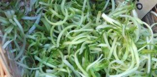 insalata puntarelle alici 2022 02 19