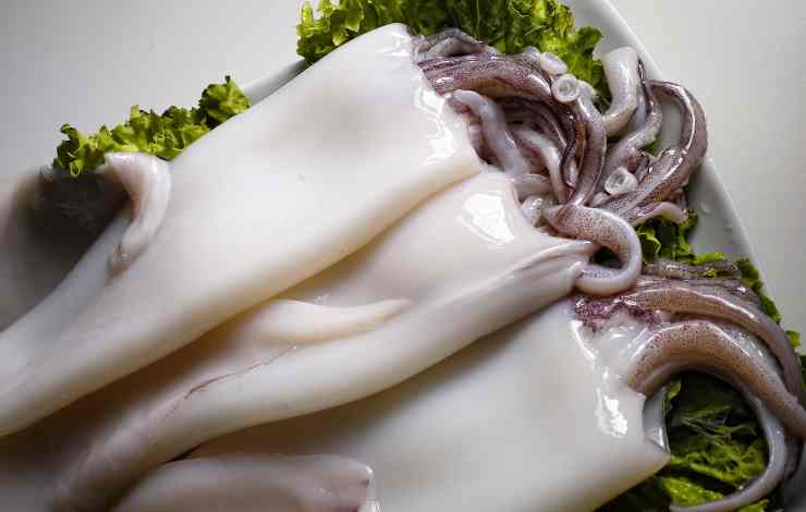 patate calamari puntarelle 2022 02 17 ricettasprint it