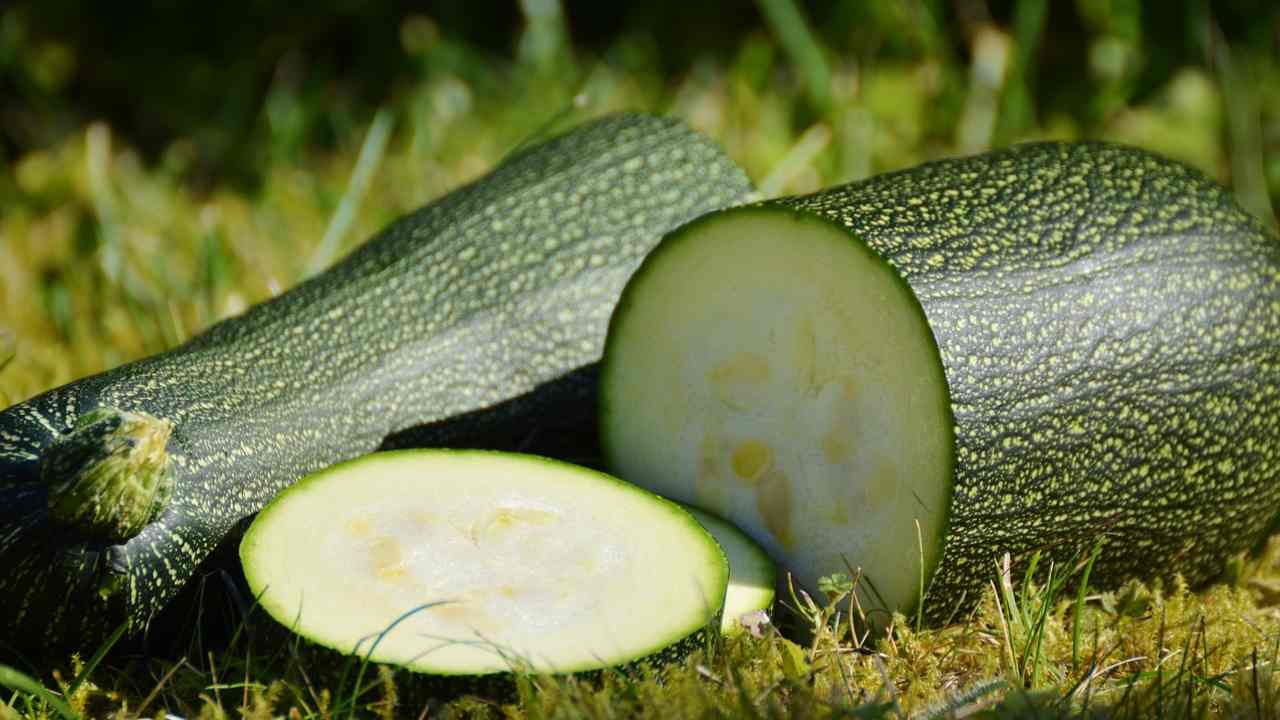 Con le zucchine Benedetta Rossi prepara un contorno sfizioso in padella, scopri la ricetta
