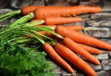 Il contorno veloce e facile con le carote, ma non il solito, basterà aggiungere un ingrediente speciale Il contorno veloce e facile con le carote, ma non il solito, basterà aggiungere un ingrediente speciale