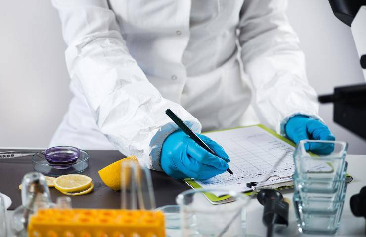 Ispezione sulla qualità del cibo