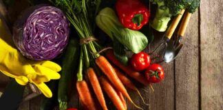 La mia nonna ha selezionato alcune verdure per un contorno strepitoso, scopriamole subito