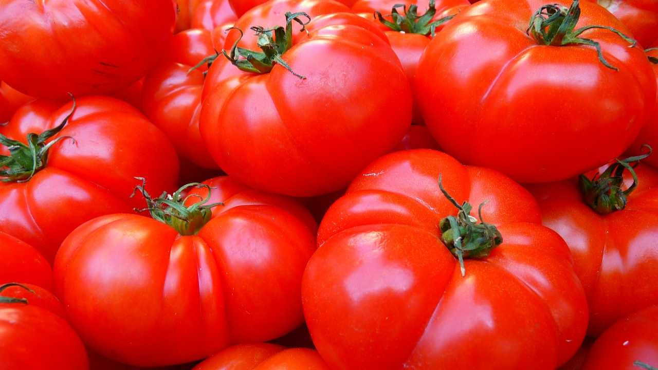 Non solo all'insalata, alla piastra e con la pasta, i pomodori sono buonissimi anche così