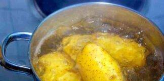 Quanto devono bollire le patate lesse