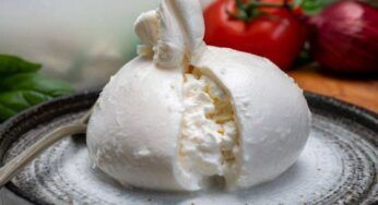Antipasto o secondo piatto? Comunque lo si prepari, è buonissimo
