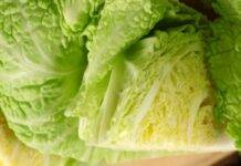 Come cuciniamo la verza stasera? Che ne dici di prepararla con la carne? verza carne 2022 03 04 ricettasprint it (1)