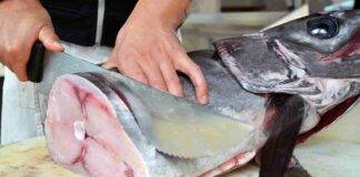 mercurio nel pesce spada richiamo