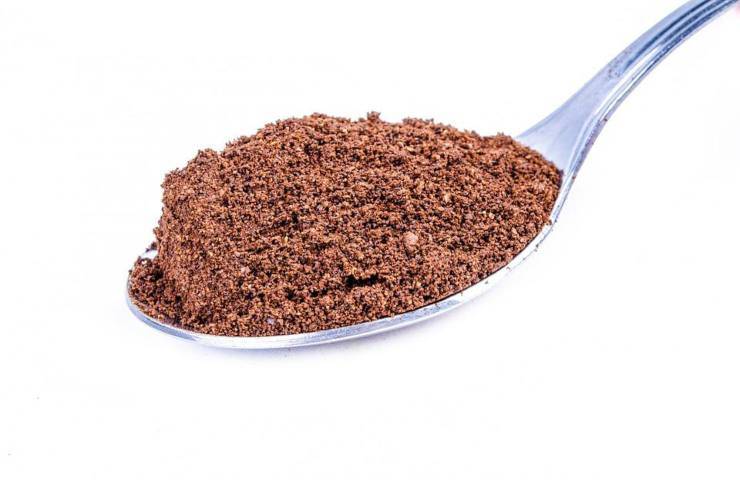 Un cucchiaio di cacao solubile