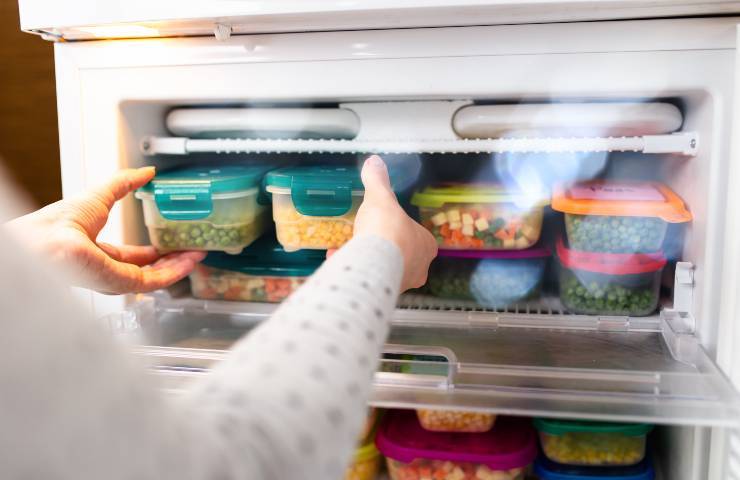 Donna congela il cibo in freezer