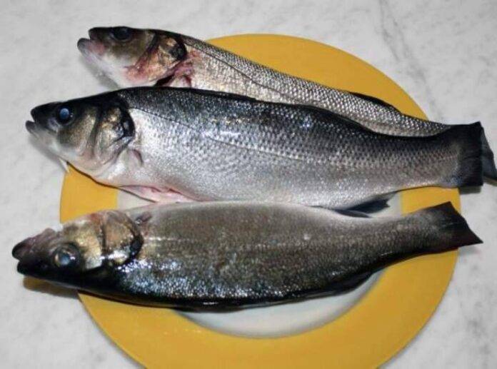 Branzino all’acqua pazza Pochi ingredienti semplici per un secondo assolutamente unico Branzino all’acqua pazza Pochi ingredienti semplici per un secondo assolutamente unico