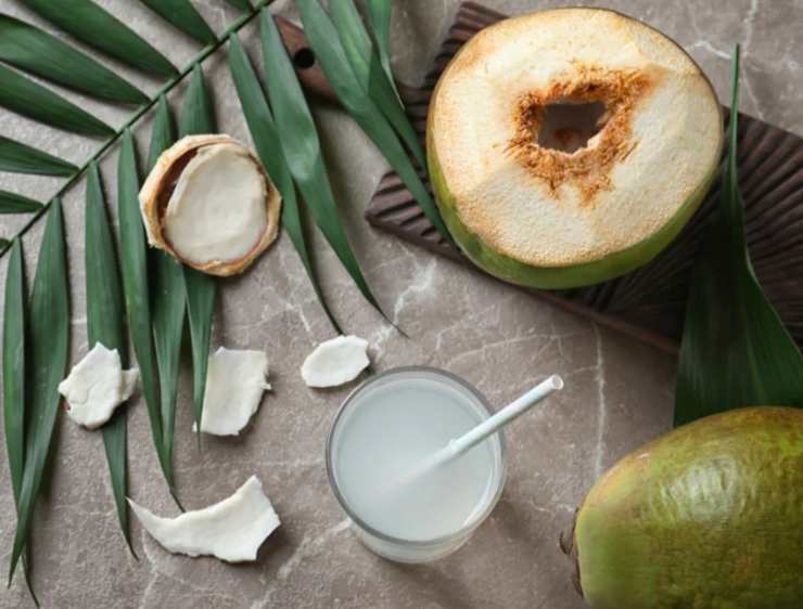 Acqua di cocco perché berla - RicettaSprint