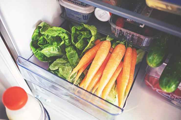 Conservare verdure in frigo - RicettaSprint