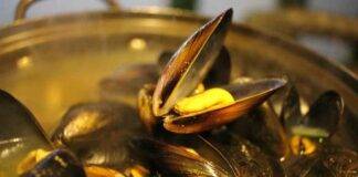 Come riconoscere se le cozze sono fresche