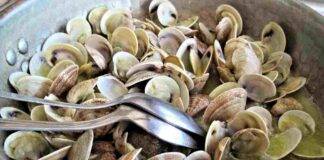 come capire se le vongole sono fresche