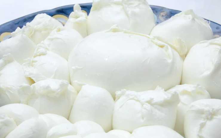 Mozzarella di Bufala i migliori caseifici - RicettaSprint