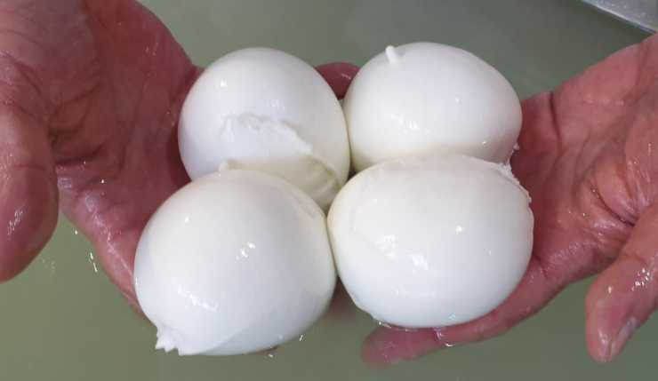 Mozzarella di Bufala i migliori caseifici - RicettaSprint