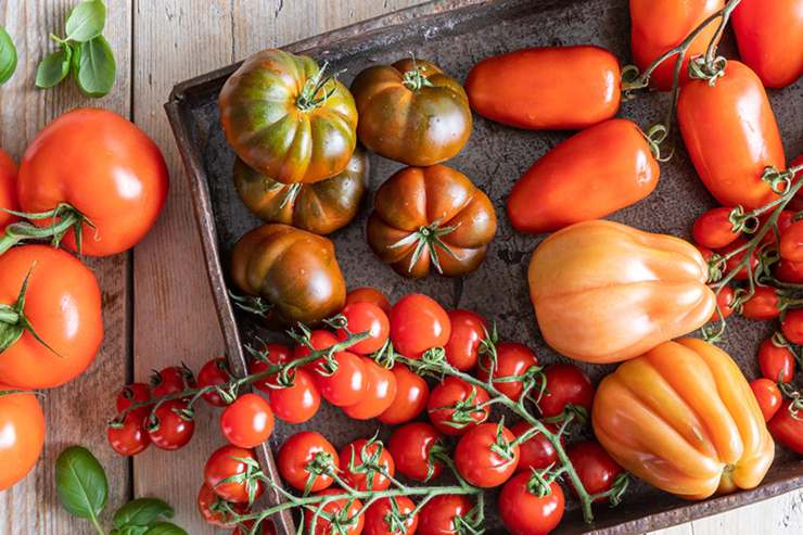 Raw tomato makes - RicetteSprint 
