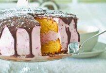 Torta veloce fruttata