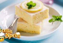 Tortine al limone il dolcetto ideale con l'arrivo della stagione estiva, allieterà le vostre serate