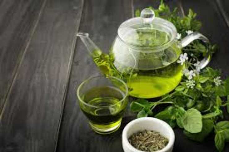tè verde bere tutti i giorni - RicettaSprint