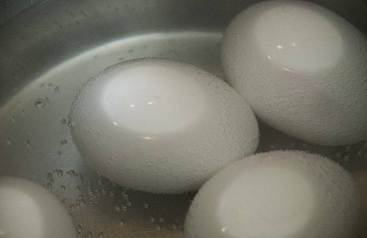 Alcune uova mentre bollono