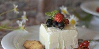 Cheesecake allo yogurt e philadelphia senza cottura