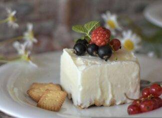 Cheesecake allo yogurt e philadelphia senza cottura