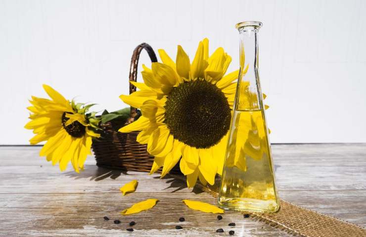 Dei girasoli e dell'olio di semi estratto