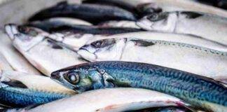 arsenico nel pesce melanoma rischio