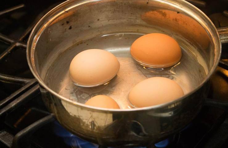 Delle uova messe a bollire in una pentola