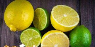 Differenza tra lime e limone - RicettaSprint